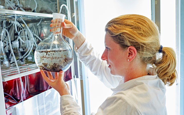 A scientist looking at a beaker 